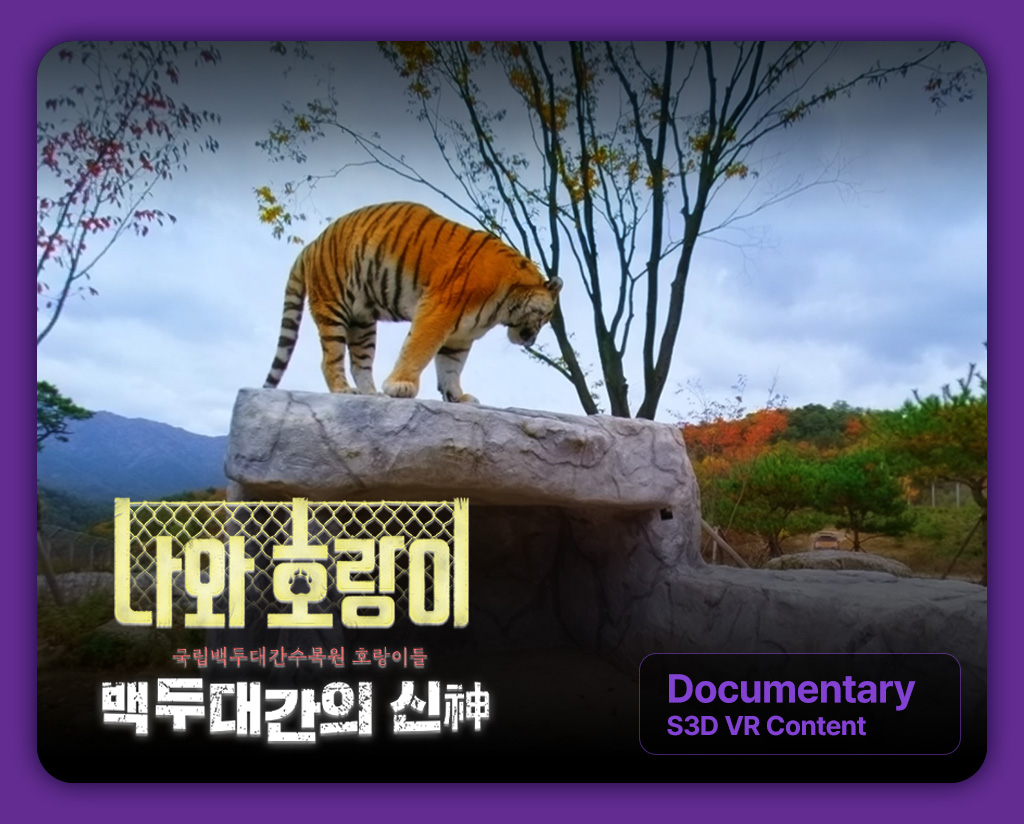 [나의 호랑이] Documentary S3D VR Content